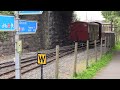 Ffestiniog and Welsh Highland Railways - Busy trains in the Peak service (DBLM Steam)