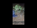 메기낚시~