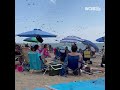 Beachgoers witness dragonfly swarm in Rhode Island