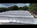 Florida Greenhouse Nursery For Sale | Lake County Turnkey Nursery | 9 ± Acres | Minneola, FL