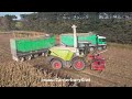 Claas Jaguar 960 Chopping Maize Silage