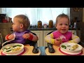 Twins try pork potstickers (gyoza)