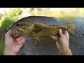 Fishing The Jumbo Hellgrammite For Big Smallies!