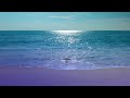 1 Hour Gentle Waves for Sleep 🌊 Ocean Ambience #sleepsounds #gentlewaves #calmingsounds