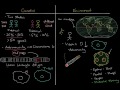 Multiple sclerosis risk factors | Nervous system diseases | NCLEX-RN | Khan Academy