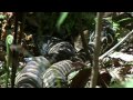 Australia - Serpiente Pitón Enorme