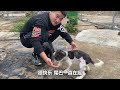[Full Version] The poor puppy was tied to the roadside by its owner and lived on garbage. It was lo