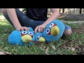 Angry Birds Toons (Plush Version) - Season 1: Ep 8 - 