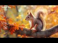 Relaxing Piano Music 🌷 Peaceful Nature Scenes for Tranquil Moments #1