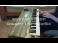 Sonic Heroes - Seaside Hill Keyboard Cover