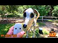 👻Home Depot Halloween 2024 7ft Skeleton Dog Animatronic Unboxed / Skelly's Dog / Code Orange🎃