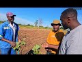 How Their Farm is Making Them Thousands of Dollars Per Month in Zimbabwe Africa