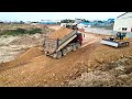 New Projects​​ Really amazing​ Work Shantui Bulldozer  Do a good job​ And 25t Dump Truck Unloading