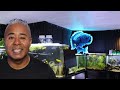 How To Make The Most Money Breeding & Selling Aquarium Fish