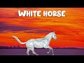 Chris Stapleton White Horse