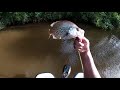 Stabbing Crappie & Snakes at Cedar Creek | Fly Guyz TV