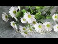 How to make Daisy flower by paper/Cách làm hoa cúc họa mi từ giấy/Oai huong Handmade