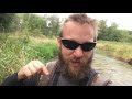 River Fishing for BIG FISH BAIT! (Creek Chubs and Shiners)