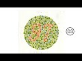 Color Blindness Test