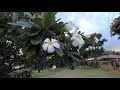 A visit to Kaunakakai, Molokai