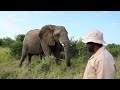 Elephant Footprints | A Letter from Adine Roode