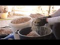 Couple Renovating Derelict Stone House in Italy (One Year in 45 minutes)