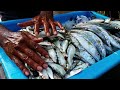 you never seen before , fish vlogs negombo #fish #fishcuting #fishpreparation