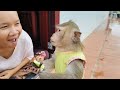 Mom Leads LyLy To See Raining And Eating Fruit