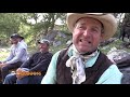 Mule Packing in the Wind River Range