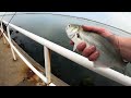 Fishing Ocean City, MD Inlet