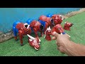 UWOW !!! PROSES POTONG SAPI SPIDERMAN UNTA KUDA KERBAU SAPI NGAMUK | TANPA KEPALA UNIK