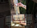 Burberry Unboxing Bag New Design