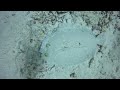 Flounder fun at Klein Bonaire 7.15.24