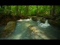 🌿✨ Tranquil Creek Vibes in Ouachita Mountains | Relax, Sleep, Study & Meditate with Nature
