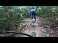 Chestnut to Bukit timah trail for beginner.