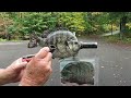 Painting a Bluegill Replica Fish Mount Reproduction Taxidermy