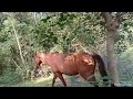 Los malcriados comiendo sal.