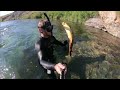 Freshwater Spearfishing