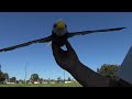GOGO Bird Eagle RC Ornithopter chased by Mudlark birds
