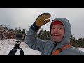 Great Gray Owl Photography in Yellowstone