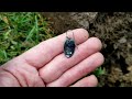 Metal Detecting Mash Up - Treasure found the past few weeks