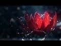 Yeri Mua ft. Kim Loaiza - Tiempo Perdido (Video Oficial)