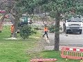 Tree Surgeons clearing land of trees to make way for new housing estate UK.#chainsaw #trees #land