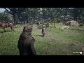Red Dead Redemption 2_20221121132436
