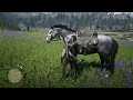 Red Dead Redemption 2_20240704191541