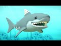 Los Octonautas - 🪸 El gran tiburón blanco 🦈 | Temporada 2 | Episodios Completos