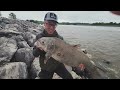 Dam Fishing for Anything that Bites (Whitebass Catch & Cook) | Kansas Part I