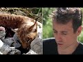 Animaux menacés : tout pour les sauver (Intégrale) - Sur le front avec Hugo Clément