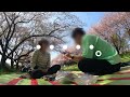 【vlog】お花見中に、鳥のフン落ちてきた。