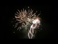 Wild Things Firework- 247 Shots